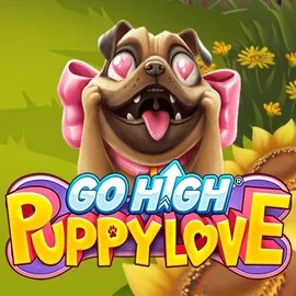 Go High Puppy Love slot icon by RubyPlay, available at Scored Casino